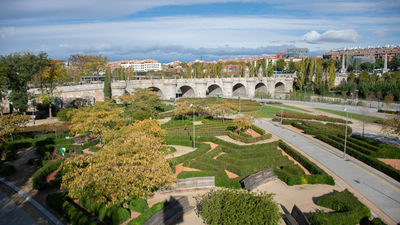 Madrid abre algunas zonas verdes tras revisar el arbolado dañado por Filomena