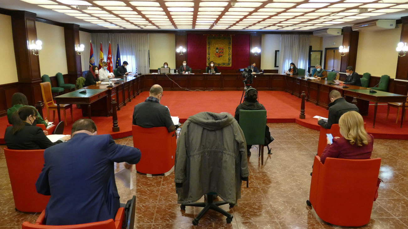 Móstoles abordará un Plan urgente para recuperar arbolado dañado en la ciudad