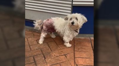 Cacerolada contra los okupas violentos de Pozuelo de Alarcón