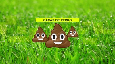 Los vecinos de Rivas Vaciamadrid denuncian la presencia de excrementos