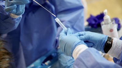 En España ya se han notificado 449 positivos de la variante británica, aunque hay "más casos" sin registrar