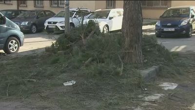 Las calles del barrio de Simancas siguen llenas de las ramas de árboles tronchados, tres semanas después de Filomena