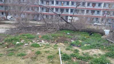 Suciedad y abandono en la parcela del futuro centro de salud del barrio del Lucero