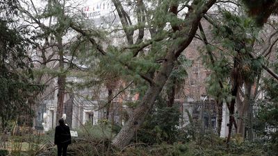 Reabre el Jardín Botánico tras perder el 2% de los árboles por la borrasca Filomena