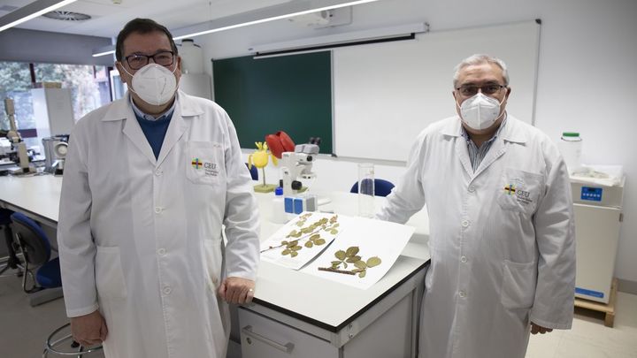 Los investigadores Antonio Galán de Mera y José Alfredo Vicente Orellana / CEU