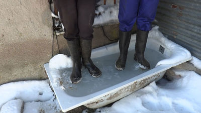 Mi cámara y yo: Duro invierno rural