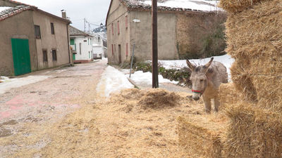 El ejemplo de El Cardoso de la Sierra para luchar contra el duro invierno