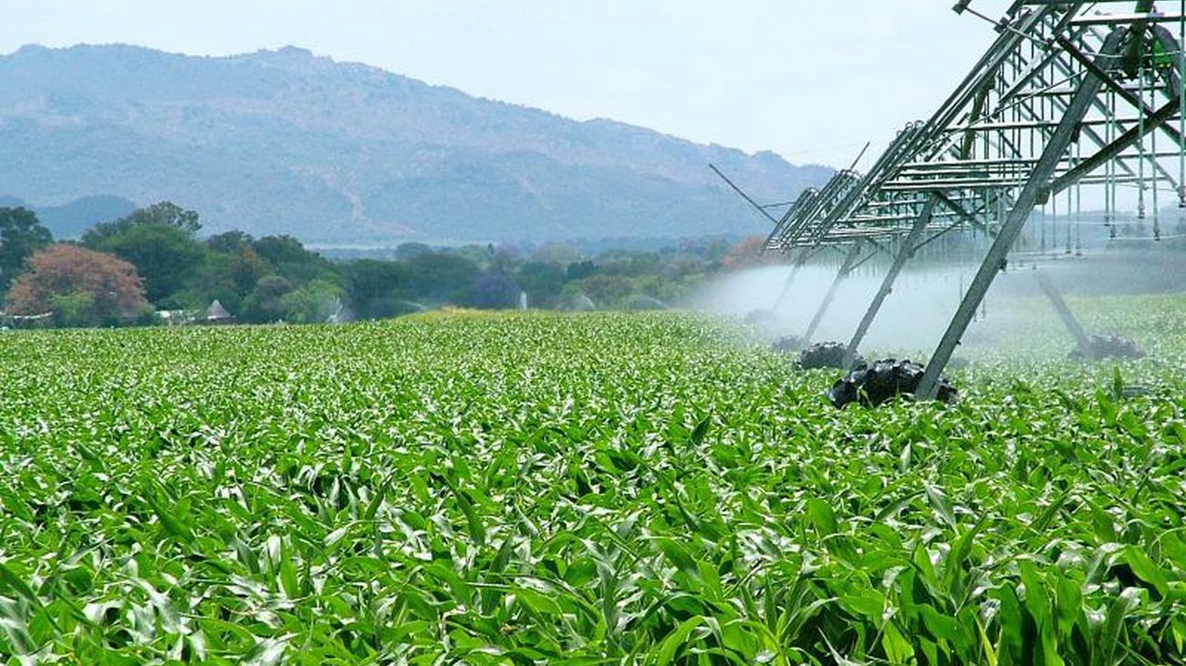 La agricultura amenaza a 24.000 de las 28.000 especies en riesgo de extinción