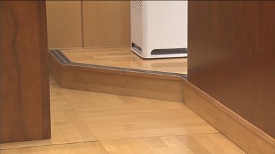 El escalón de la "vergüenza" en la Asamblea de Madrid