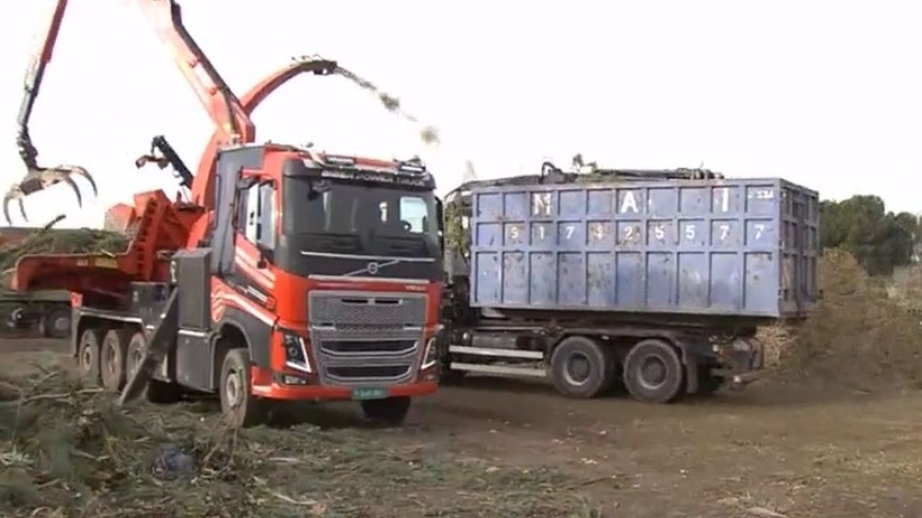 Boadilla tritura los árboles caídos por el temporal para convertirlos en biomasa