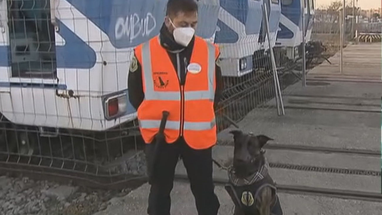 Perros para evitar que los grafiteros actúen en el metro de Madrid