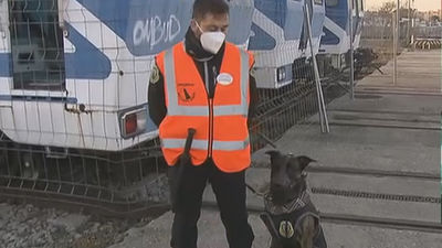 Perros para evitar que los grafiteros actúen en el metro de Madrid