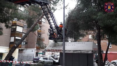 Alcorcón reabre este sábado la mayoría de parques públicos afectados por 'Filomena'