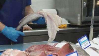 Primer despido ‘procedente’ en España por llevar mal puesta la mascarilla