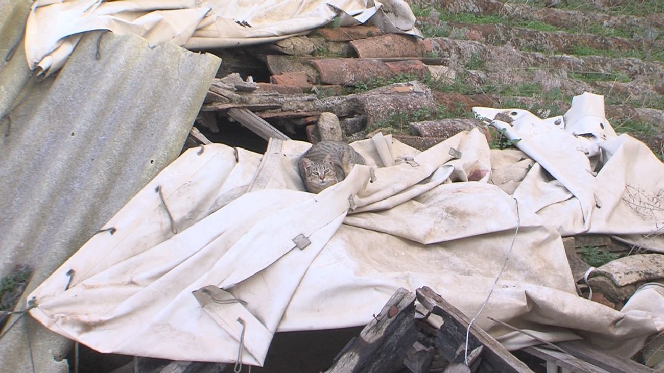 Viviendas en ruina en Aranjuez