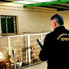 Detenidos el responsable de un criadero de perros y  un veterinario por cortarles las cuerdas vocales a los animales