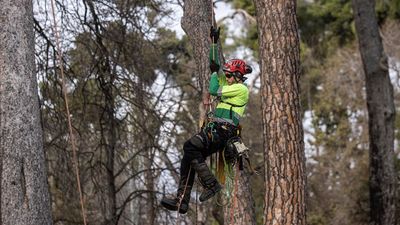 Reabren dos accesos al Retiro y veinte zonas nuevas en la Casa de Campo