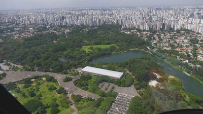 Madrileños por el mundo: Sao Paulo