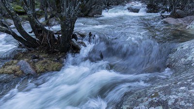 Biomaratón en el norte de Madrid para crear un registro local medioambiental