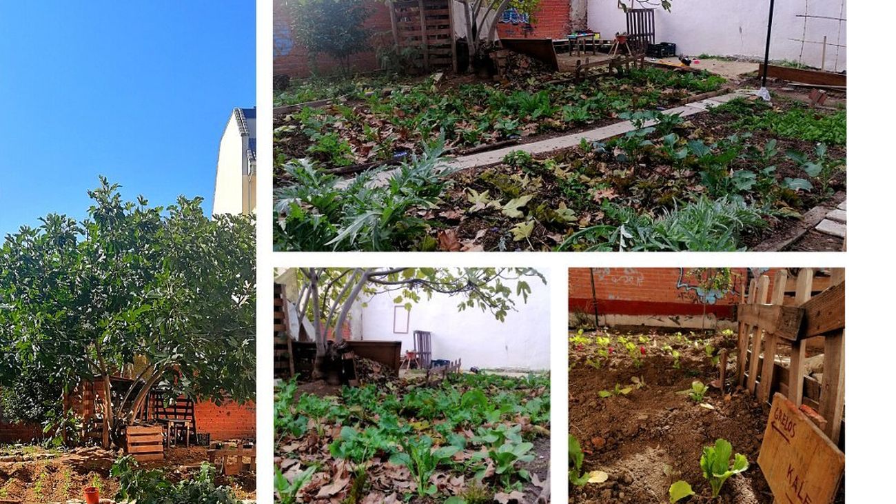 El Ayuntamiento transformará un huerto vecinal de Carabanchel en viviendas libres