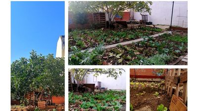 El Ayuntamiento transformará un huerto vecinal de Carabanchel en viviendas libres