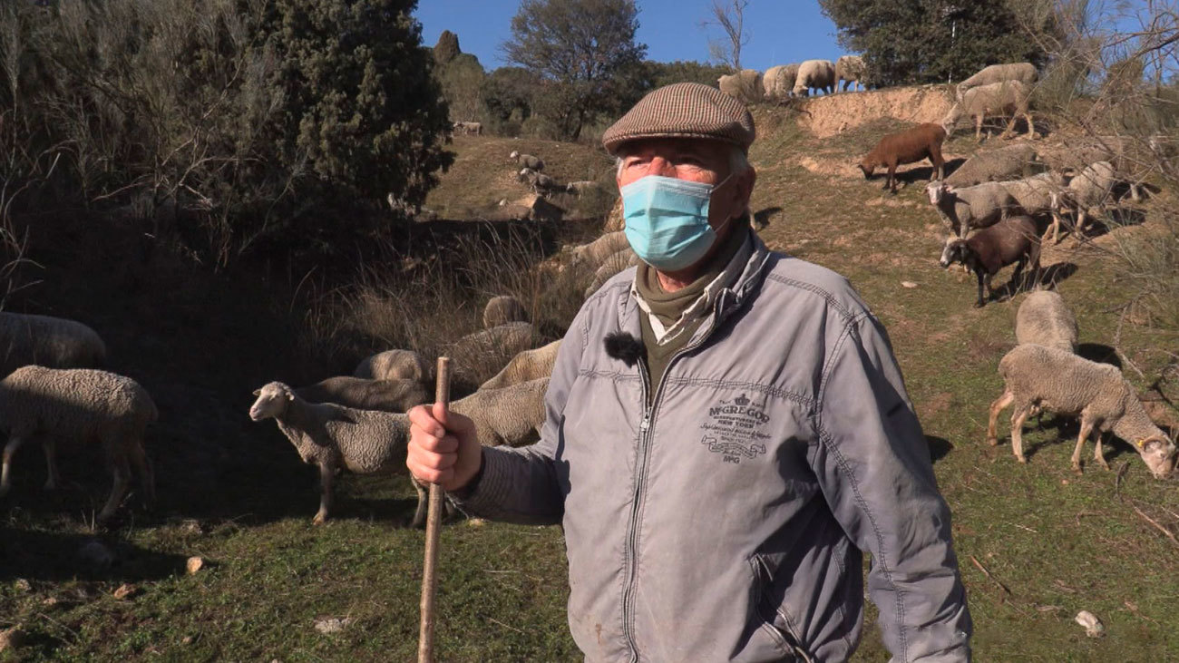 Jesús Garzón, pastor trashumante: "Un rebaño es una enorme máquina de sembrar"