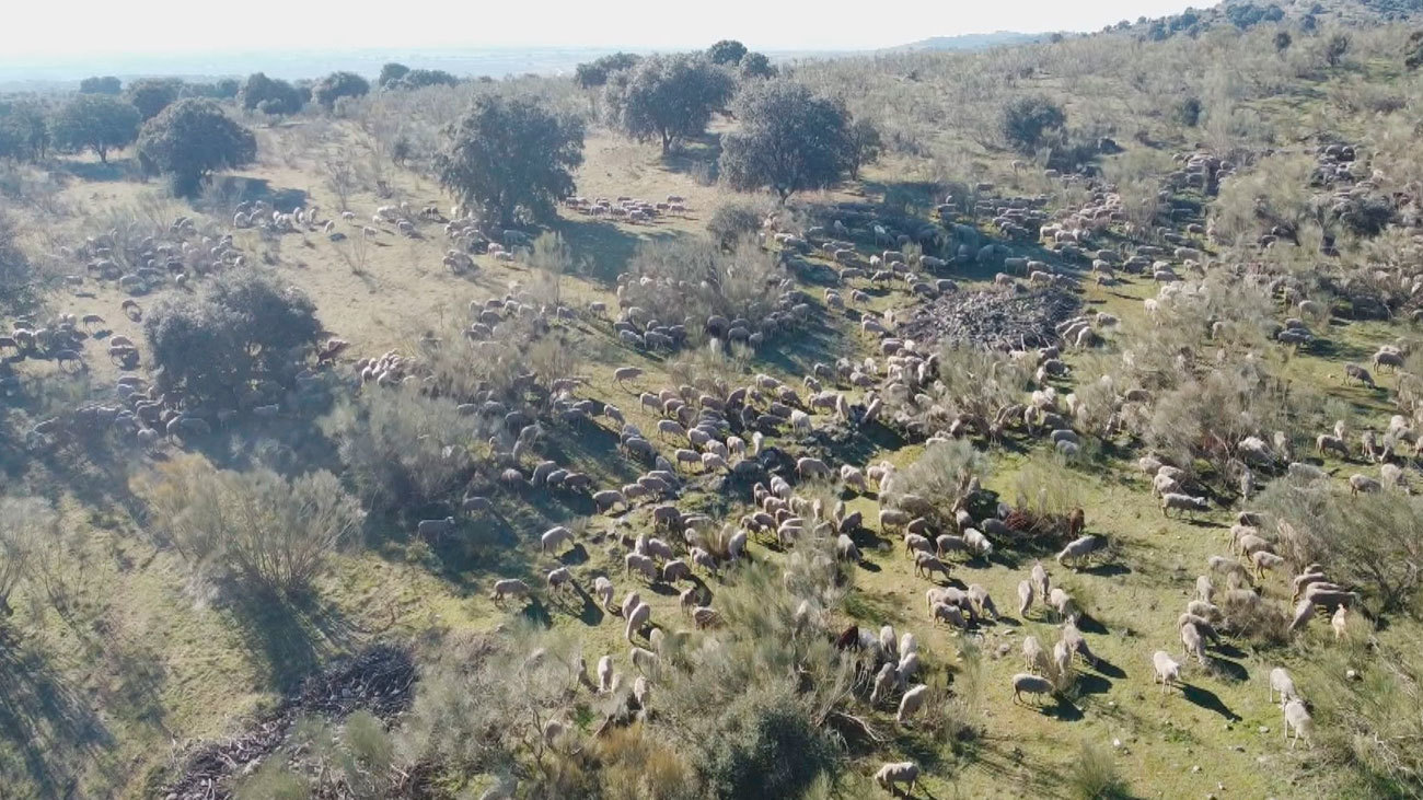 Mi cámara y yo: Cañadas y veredas