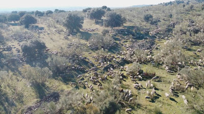 Mi cámara y yo: Cañadas y veredas