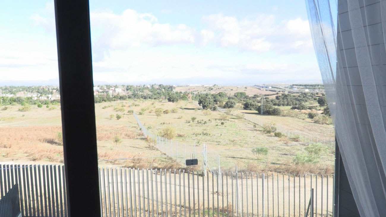 Qué ha sido de la Cañada Real de La Moraleja