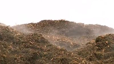 Las plantas de compostaje de Madrid, a tope para procesar los estragos de Filomena