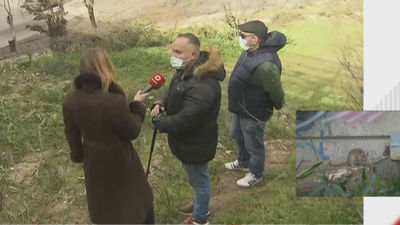 Denuncian que dan de comer pan y churros a las peligrosas ratas negras de Méndez Álvaro