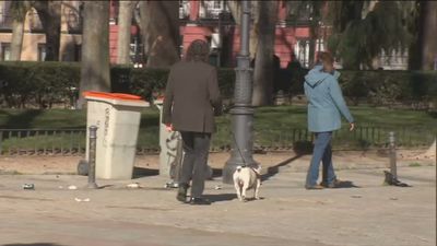 ¿Puedo pasear a mi perro durante  el toque de queda?