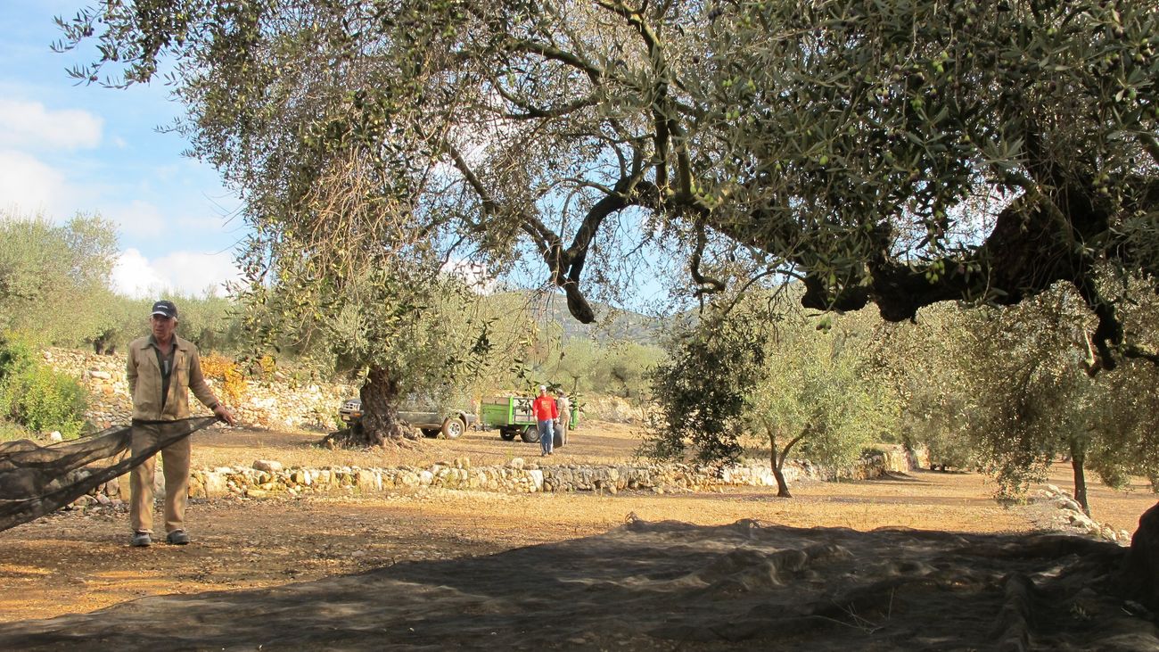 Malestar entre agricultores y ganaderos de Madrid por el cambio en las ayudas de la PAC