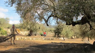 Malestar entre agricultores y ganaderos de Madrid por el cambio en las ayudas de la PAC