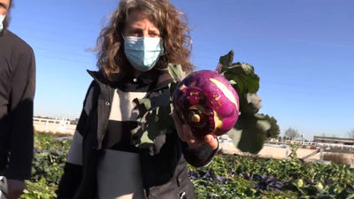 Mi cámara y yo: De temporada