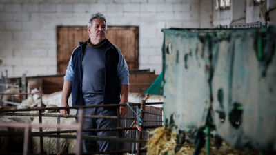 La ganadería madrileña, "congelada" un mes después de filomena