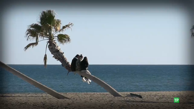 Madrileños por el mundo ahora los jueves. Esta semana, Malta