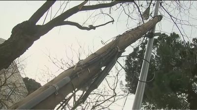 Denuncian el peligro de un poste de la luz que lleva caído sobre una farola un mes en Arturo Soria