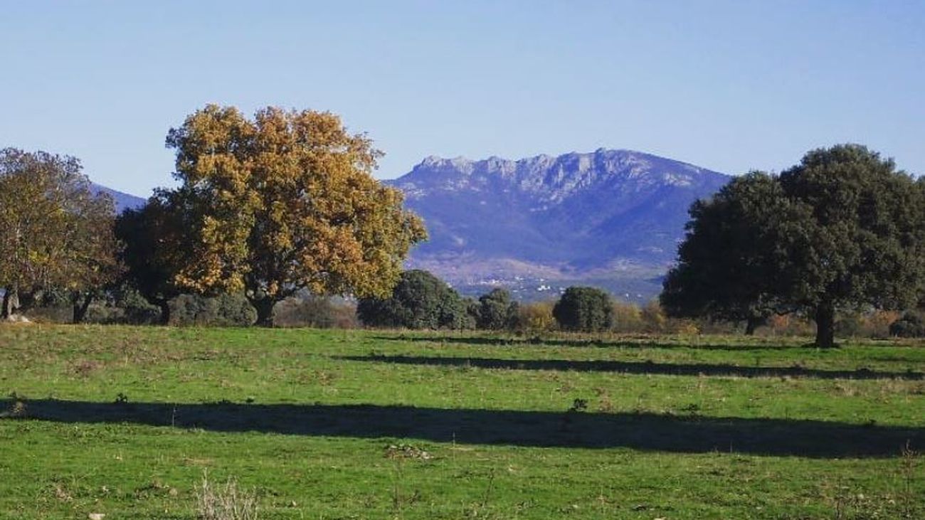 Más de 20 hitos turísticos  de San Lorenzo del Escorial cuentan ya con un código QR