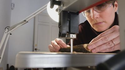 Sara, la madrileña que hace artesanía con los árboles caídos por Filomena