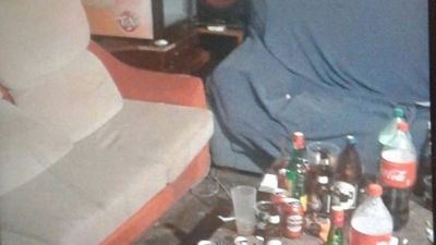 Fiestas en chalets de Torrelodones por 100 euros