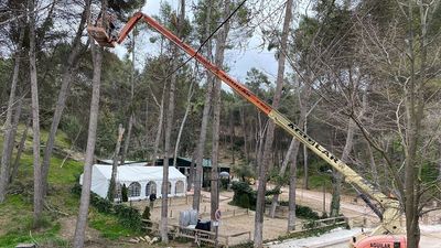 Morata  invertirá 40.000 euros en la segunda fase de recuperación de su bosque