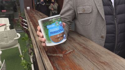 Mi cámara y yo nos acerca este lunes 'Negocios con ingenio' frente a la pandemia