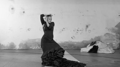 Rocío Molina, José Luis Gómez y Mastretta, protagonistas  de la agenda cultural de la Comunidad