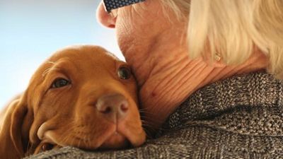 Las mascotas ayudan a reducir el aumento de un 22% del estrés por la pandemia