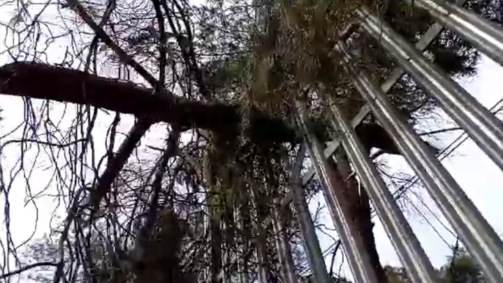 Rama oscilando en lo alto de la valla del metro / Telemadrid.es