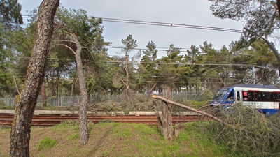 Accidente de un ciclista en Casa de Campo: la policía pide colaboración ciudadana