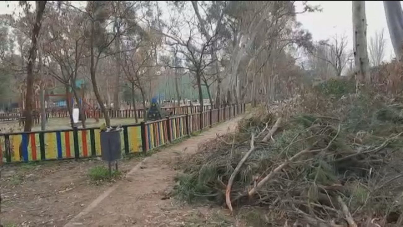 Parques destrozados en Móstoles y Leganés dos meses después de Filomena
