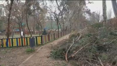 Parques destrozados en Móstoles y Leganés dos meses después de Filomena