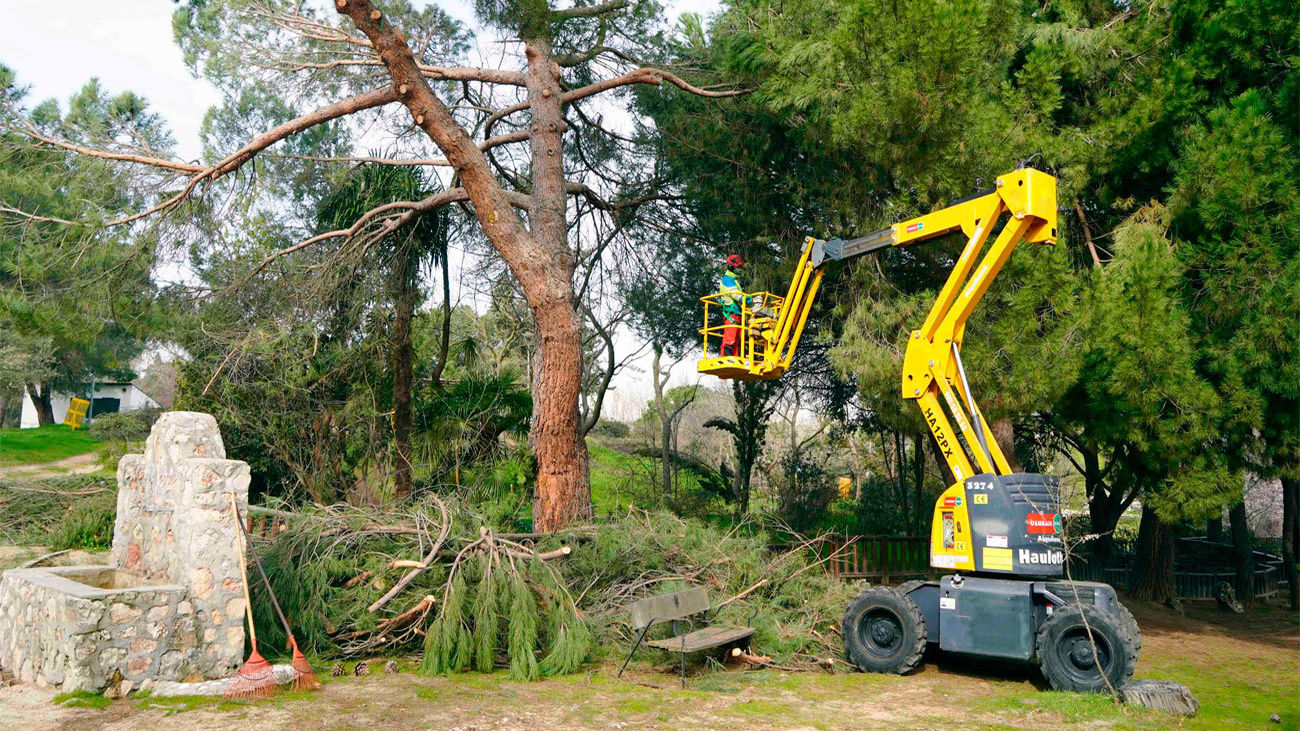 limpieza de parques en Móstoles por los daños de Filomena
